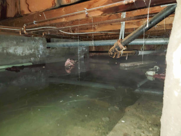 Best Water damage restoration specialists  in Poway, CA