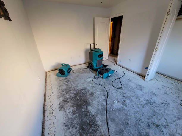 Best Residential water damage restoration  in Poway, CA