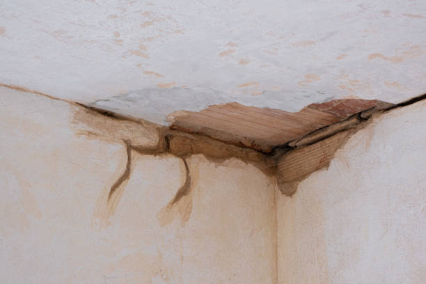 Best Mold removal after water damage  in Poway, CA