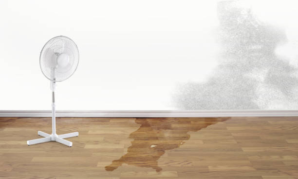 Best Fire Damage Restoration  in Poway, CA
