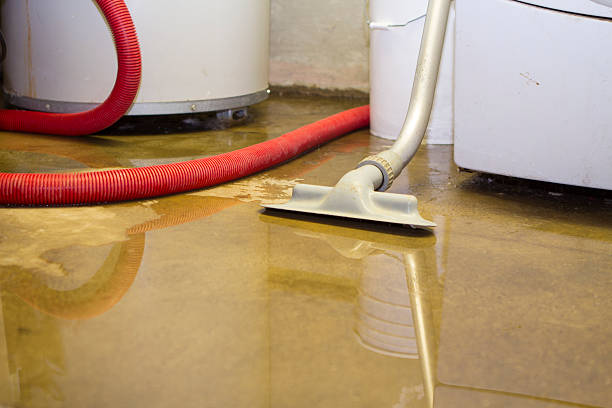 Best Water damage restoration near me  in Poway, CA