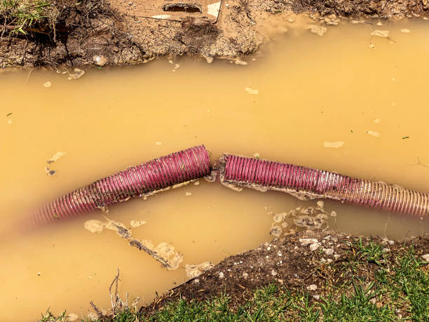 Best Emergency water damage restoration  in Poway, CA